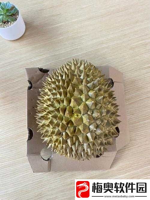 每天都在汆肉中醒来奶油尖尖：美味生活
