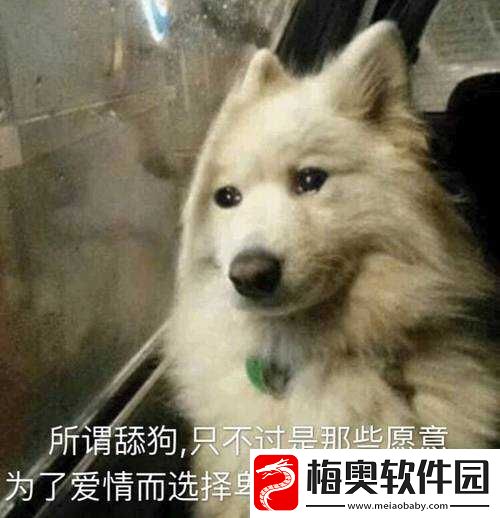 啊你-tm-别舔了好疼：舔狗的痛苦谁懂
