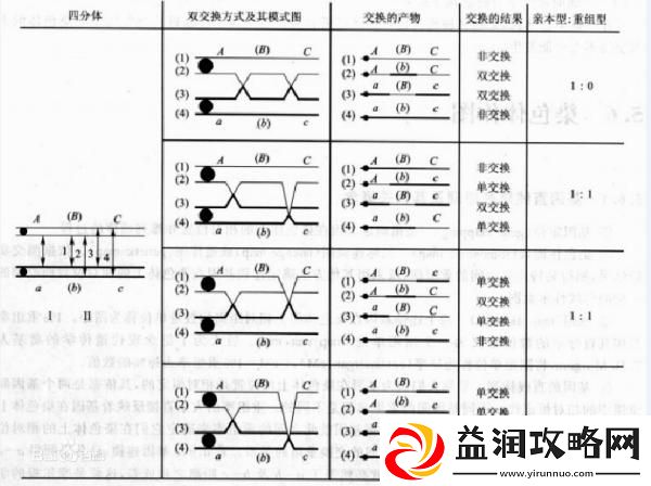交换する和取り替える的区别：探索日语表达中的微妙差异