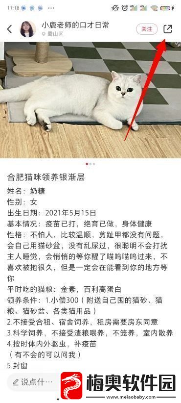 小红书图片无水印保存方法