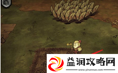 饥荒如何种菜