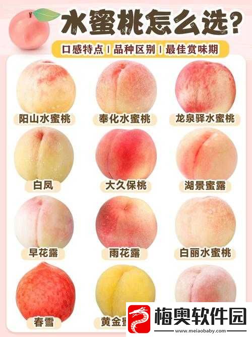 日本水蜜桃品种岭风