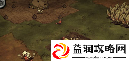 饥荒如何种菜