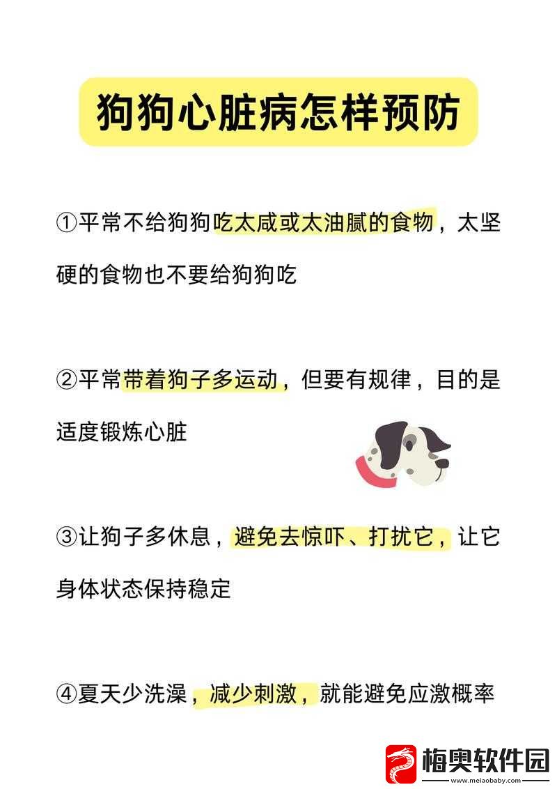 一边伸舌头一边快速喘气：这是什么情况