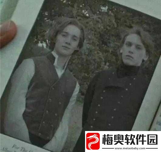 匹诺曹的谎言与宽刀的隐秘所在