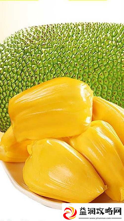 菠萝菠萝蜜免费播放高清带给你极致视觉享受