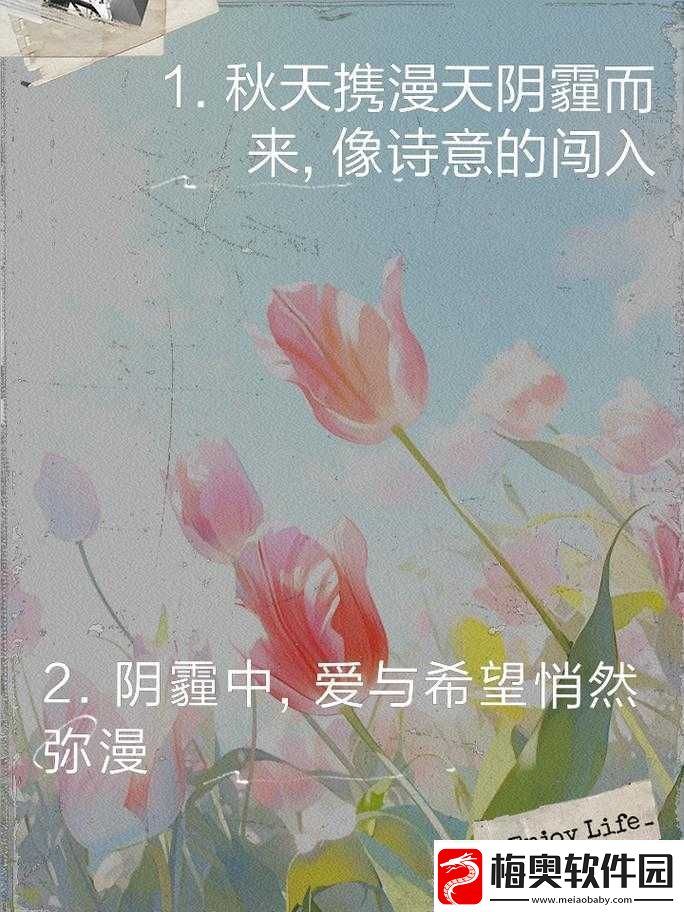 今夜无人入睡：爱与希望的交织