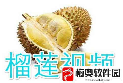 向日葵草莓榴莲