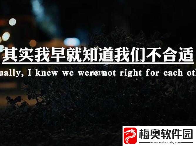 我们不合适-1V1-情况：无法继续发展