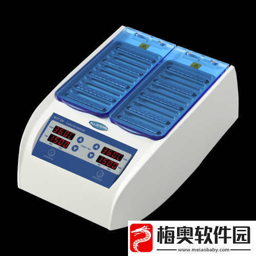 XXXXBBBB：探索未知的奇妙之旅