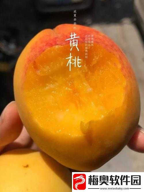 9612-黄桃视频入口页面：全面破解资源-畅享精彩内容