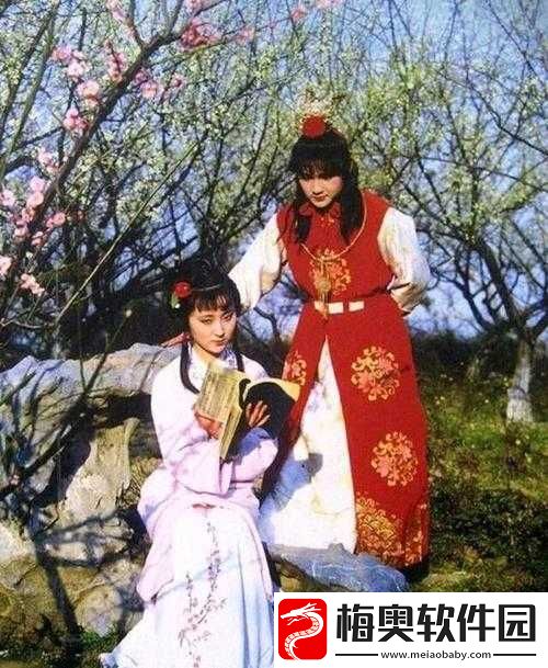 再续红楼梦：续写经典之作的全新探索