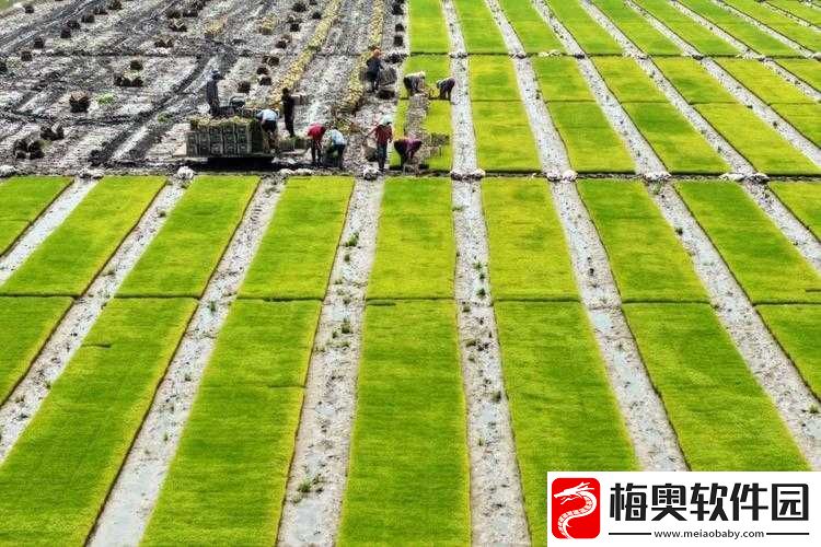 夫妻间