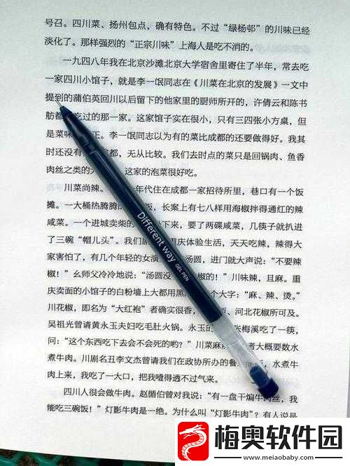 做一道题插一支笔怎么写：探寻背后的奥秘