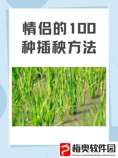 夫妻插秧一百种方法：实用技巧分享