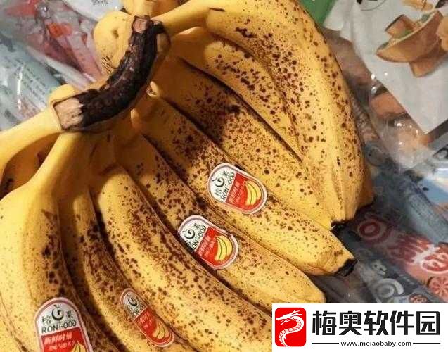成都巨香蕉商贸：水果供应专家
