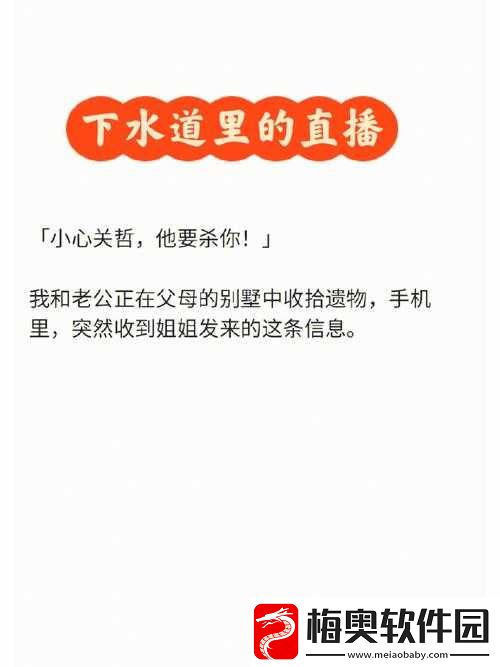 给姐姐疏通下水道：手足情深解难题