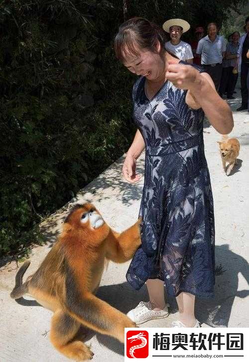 金丝猴下山串门村民热情款待后发生了啥