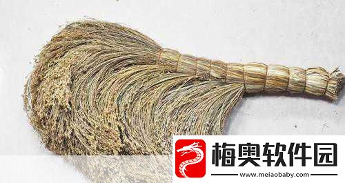 探索古代清洁之谜-扫帚的起源与发展