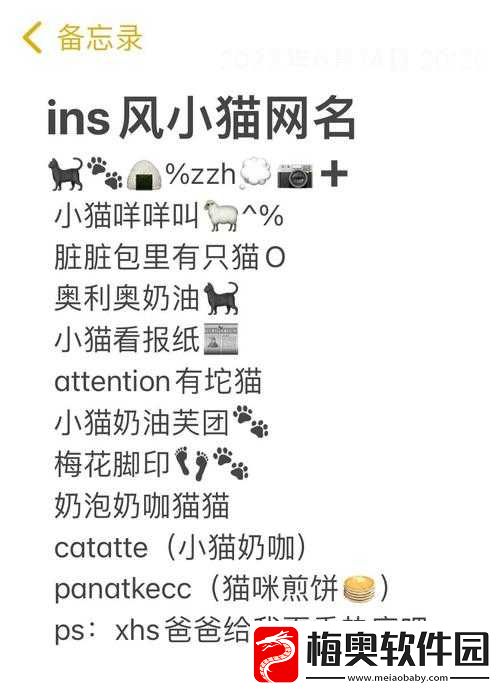 猫咪www最新地域网名怎么取：实用取名技巧分享