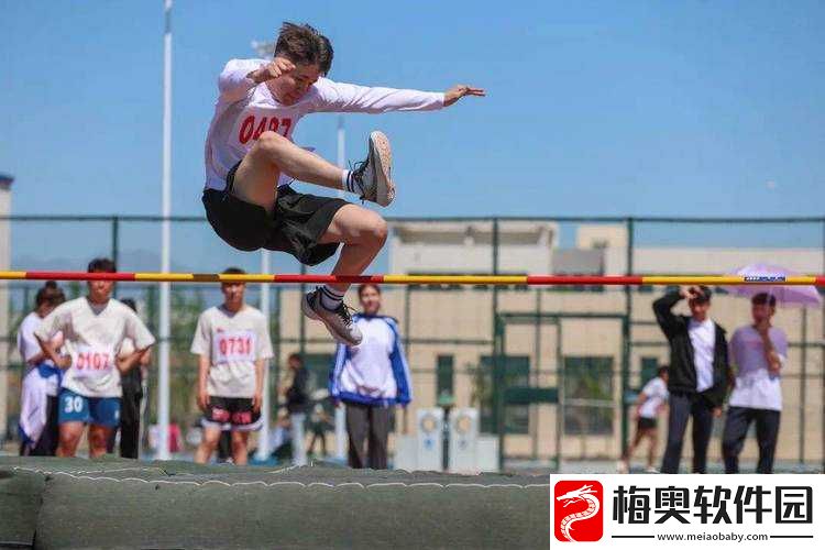 超级混乱学校运动会：别样精彩与疯狂