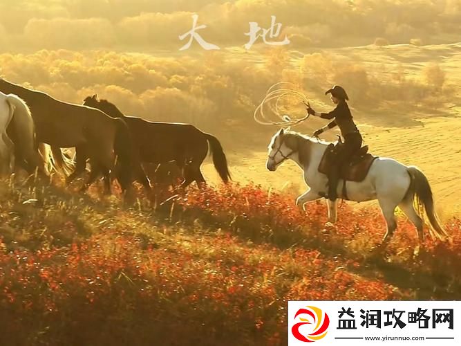 大地视频在线观看免费高清网友：这是一种全新的观看体验