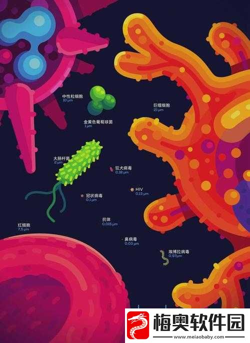收集