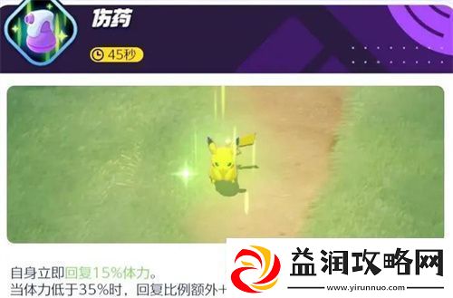 宝可梦大集结胖可丁对战道具怎么选