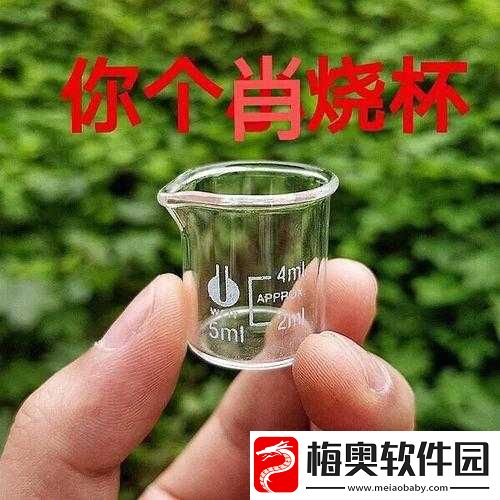超市小烧杯设你小学里：趣味校园生活