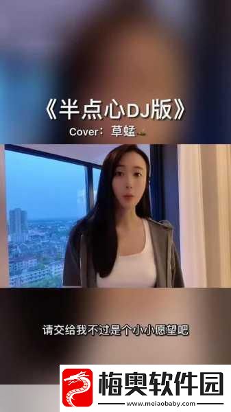 半点心1v2H