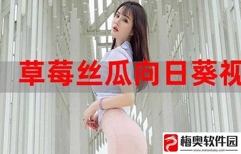 丝瓜草莓向日葵秋葵加油站：的旅途加油助力