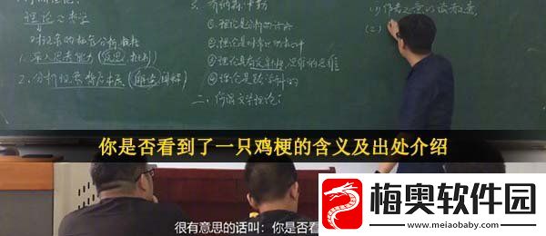 你是否看到了一只鸡是什么梗-你是否看到了一只鸡梗的含义及出处介绍