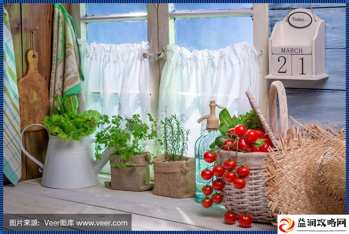 厨房春潮-笑谈间引人入胜