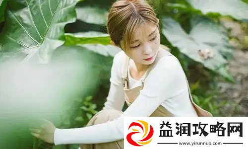 揭秘成品网站1.1.719：一站式网站建设的终极解决方案！