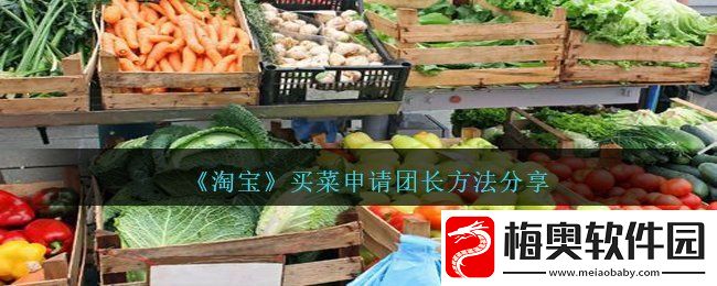 淘宝买菜怎么申请团长-买菜申请团长方法分享