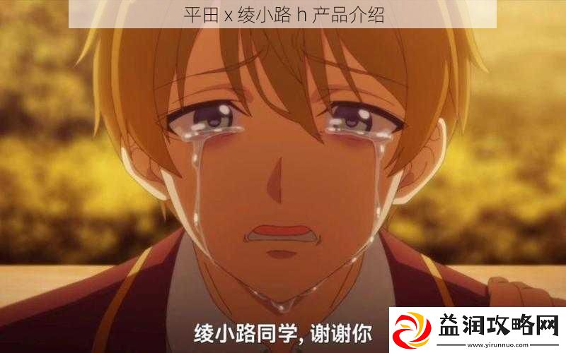 平田x绫小路h产品介绍