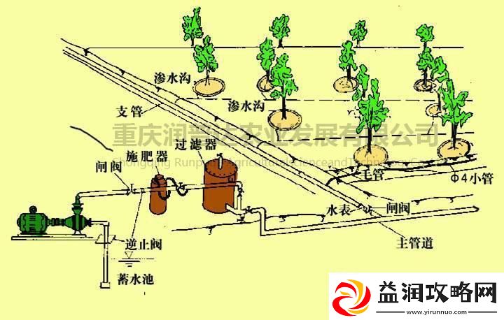 苏软软的灌溉奇遇：水流的魔术-农田的狂欢