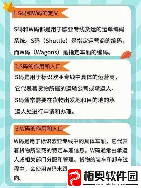 欧亚专线-S-码和-W-码入口一样吗：二者有何区别