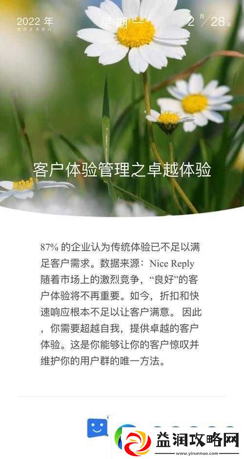 RB-优质系统-：带来前所未有的卓越体验和高效服务