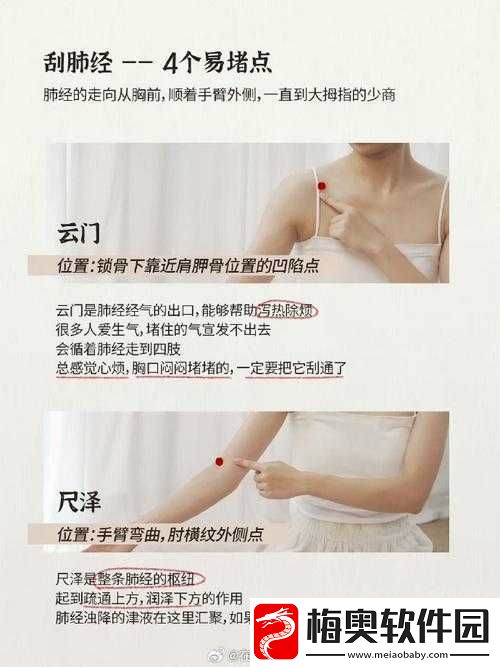 绑定超级胬肉系统：开启奇幻之旅