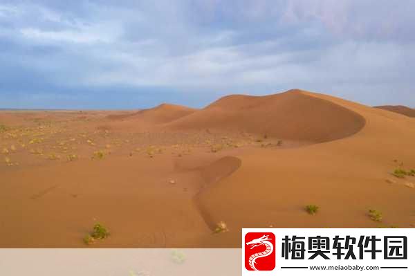 探寻你的意义是什么的神秘测试之旅