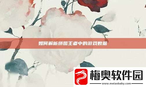 如何解析拼图王者中的游戏数据