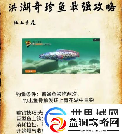 欢乐钓鱼大师洪湖最后两条鱼在哪里钓