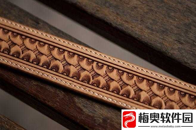 妄想山海废皮揭秘