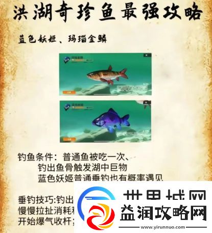 欢乐钓鱼大师洪湖最后两条鱼在哪里钓