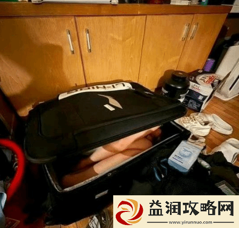 球员将女友藏行李箱带宿舍通宵补课引热议