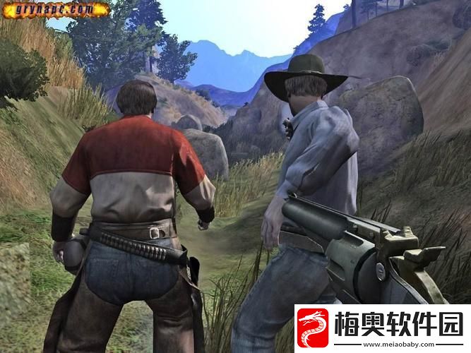 深入探索全流程图文攻略指南