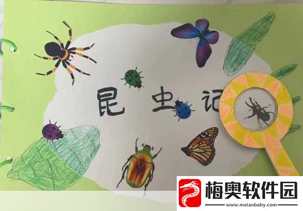草丛里的秘密