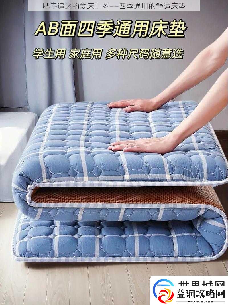 肥宅追逐的爱床上图——四季通用的舒适床垫