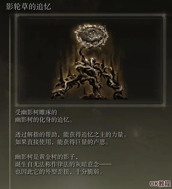 艾尔登法环黄金树之影DLC：打造旋刺出血流玩法-高伤续航策略全解析